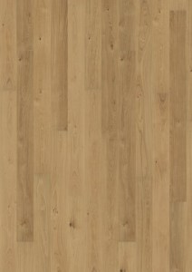 Oak Sun